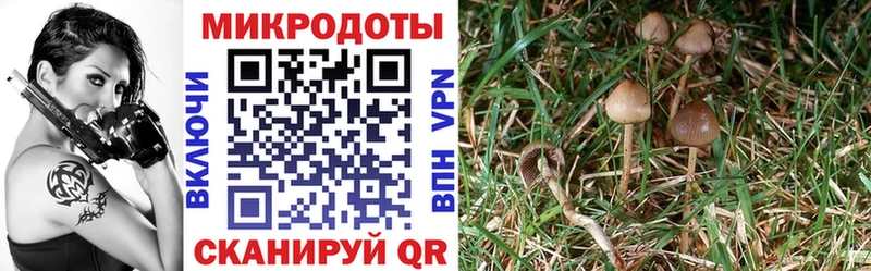 продажа наркотиков  Яранск  Галлюциногенные грибы мухоморы 